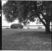 Bosham Boat Shed